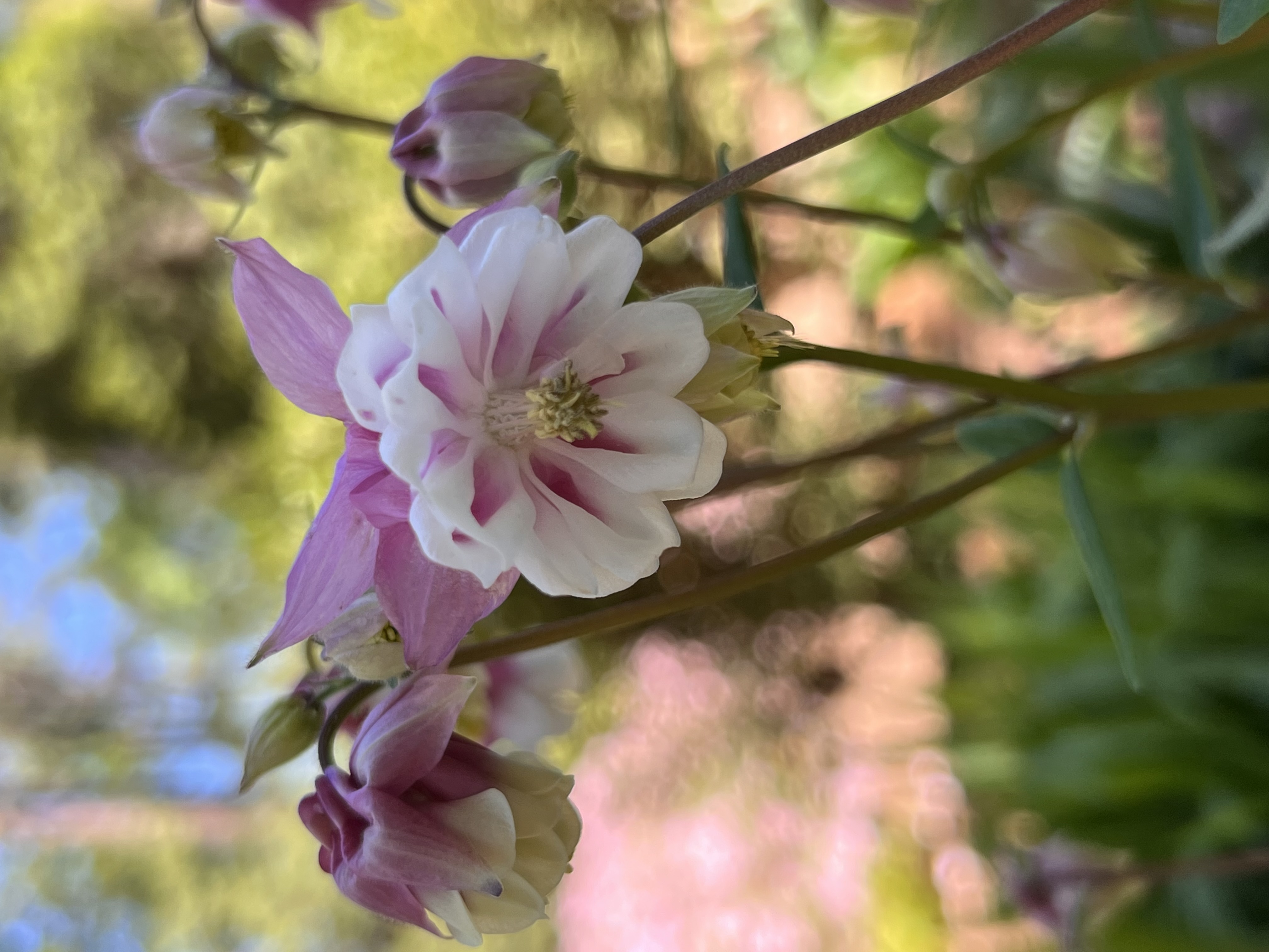 ./2023/05 - Toni Adventures/IMG_3242.JPG